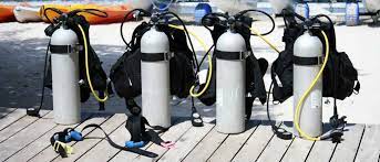 Should I Buy Or Rent Scuba Gear Dolphin Scuba