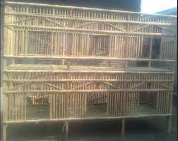 Mulai dari ukuran, desain hingga lokasi sehingga ayam dapat tinggal dengan aman dan nyaman. Membuat Kandang Ayam Aduan Yang Sederhana Animals And Pets Bangkok Places To Visit