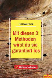 holzwurm selbst de holzwurm holzwurmer bekampfen holz