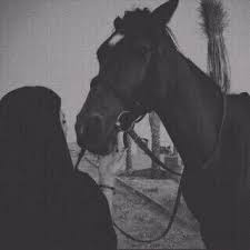 صور خيول رمزيات خيول جميلة خلفيات خيول 2016 Horse Girl Photography Horses Girly Pictures