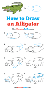 How To Draw An Alligator Really Easy Drawing Tutorial Drawing Tutorial Easy Easy Drawings Drawing Tutorial