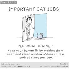 9 Important Cat Jobs All Cat Owners Will Immediately Recognize Cats Cat Care Crazy Cats
