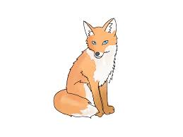 How To Draw A Fox Cute Fox Drawing Cartoon Fox Drawing Fox Drawing