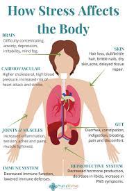 This Is How Stress Affects Our Bodies Especially Out Gut Health Pranathrive Com Infographic Health Stress Dry Skin Acne