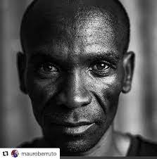 Alessandro De Marchi Su Instagram Nohumanislimited Repost Mauroberruto Get Repost Leggo Basito Commenti Al Vel Film Writer Instagram First Humans