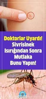 Doktorlar Uyardi Sivrisinek Isirigindan Sonra Mutlaka Bunu Yapin Doktorlar Saglik Evde Hazirlabilen Ilaclar