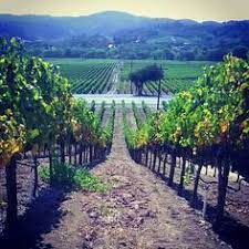 • ragnar relay napa valley: 55 Ragnar Napa Valley Ideas Ragnar Relay Ragnar Napa Valley