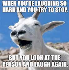 Laughing Goat Meme Generator Imgflip Laughing Animals Smiling Animals Goats
