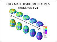 Think You Re Multitasking Think Again Npr