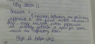 Relay synonyms, relay pronunciation, relay translation, english dictionary definition of relay. What Is Meant By Relay Neuron Brainly In