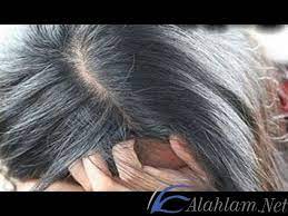 تفسير حلم رؤية شيب الشعر في المنام ابن سيرين تفسير حلم شيب الشعر حلم شيب الشعر حلم شيب الشعر للحامل