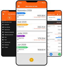 An expense report form includes any purchases that are necessary to run a business, such as parking, meals, gas or hotels, according to entrepreneur. N2f Expense Reports Expense Report Management Software For Business