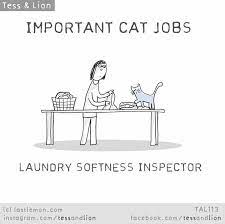 Important Cat Jobs Laundry Softness Inspector Funny Cats Crazy Cats Cat Jokes