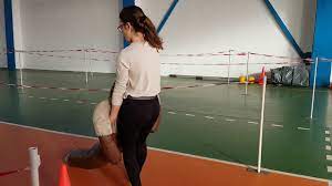 Для просмотра онлайн кликните на видео ⤵. Traseu Utilitar Proba Sportiva Admitere Mai Academia De Politie Si Scoala De Subofiteri Youtube