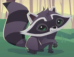 Raccoon Update Is Here Animal Jam Animal Jam Play Wild Pet Raccoon