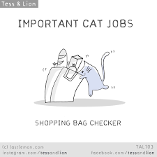 Important Cat Jobs Shopping Bag Checker Cats Crazy Cats Funny Cats