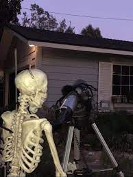 Skeleton Star Gazing In 2020 Classic Memes Spoopy Stargazing
