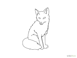 How To Draw A Fox Fox Drawing Sketches Cute Fox Drawing Fox Drawing