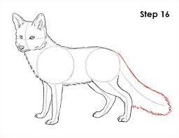 How To Draw A Fox Red Fox Fox Sketch Fox Drawing Fox Drawing Tutorial