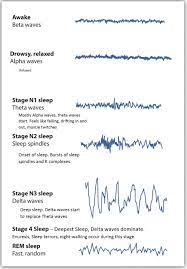 Brain Waves And Sleep Cycle Operant Conditioning Study Flashcards Brain Waves