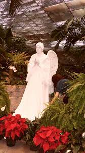 Living Angel Statue Christmas In Branson Butterfly Palace And Rainforest Angel Statues Angel Rainforest