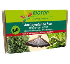 Trichotop Buxus Contre La Pyrale Du Buis
