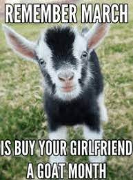 45 Fresh Memes For Today 820 Funnyfoto Goats Cute Goats Goats Funny