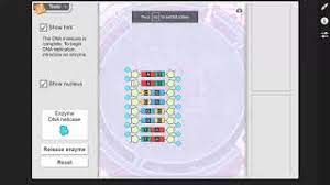 Which pair of nitrogen bases will form a bond in a dna molecule? Building Dna Lab Help Video Youtube