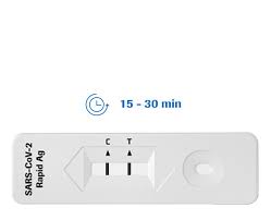 Als antigene werden proteine bzw. Sars Cov 2 Rapid Antigen Test