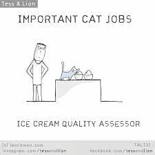 Important Cat Jobs Ice Cream Quality Assessor Crazy Cats Comic Animal Crazy Cat Lady