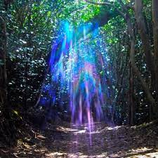 Light Beings Souls Inspiration Nature Inspiration Angel