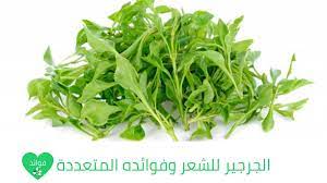 الجرجير للشعر وفوائده المتعددة للشعر المتساقط والتالف والضعيف Watercress Watercress Benefits Vegetables