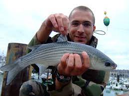 Techniques De Peche Au Mulet Dans Le Port De Dieppe Peche Peche En Mer Dieppe