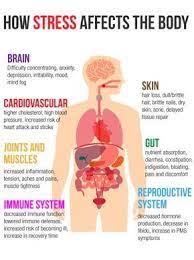 The Effects Of Stress On Your Body Effects Of Stress Stress Symptoms Chronic Stress
