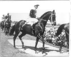 1966 Galilee Sport Horse Melbourne Cup Winners Horses
