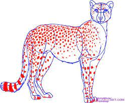 How To Draw A Cheetah Step 5 Cheetah Pictures Cheetah Drawing Easy Animal Drawings