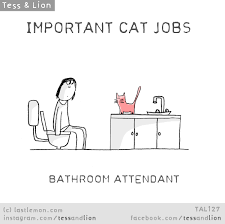 Tess And Lion Important Cat Jobs Bathroom Attendant Crazy Cats Cats Funny Cats