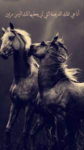 صور خيول مكتوب عليها كلام جميل فوتوجرافر Love Quotes Photos Arabic Quotes Beautiful Arabic Words