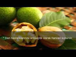 Dut Yapraginin Faydalari Nelerdir Sifa Market 0224 234 56 78 Youtube Saglik Dogal Saglik Saglikli Yasam