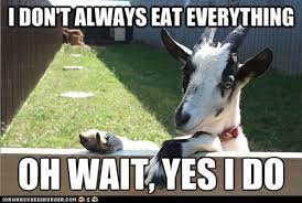 Most Interesting Goat Goats Funny Funny Goat Memes Funny Animal Pictures