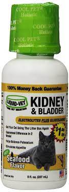 Not all patients with kidney disease progress to kidney failure. Liquid Vet Cat Kidney And Bladder Formula Fast Acting Glucosamine And Electrolytes For Kidney And Bladder Aid In Feline Cat Kidney Pet Supplements Cat Health