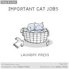 9 Important Cat Jobs All Cat Owners Will Immediately Recognize Crazy Cats Cats Funny Cats