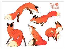 Madi Hodges Wondercon B11 On Twitter Animal Drawings Fox Art Fox Drawing