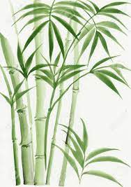 Original Watercolor Painting Of Palm Bamboo Plant Painting Minimalist Watercolor Watercolor Flowers Paintings