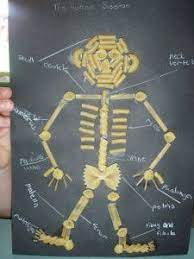 Silly Pasta Skeletons Relief Teaching Ideas Skeleton Craft Crafts