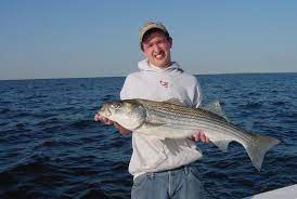 Comment Debuter La Peche En Mer Fishing Equipment Fish Catching Fish