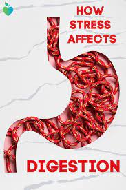 How Stress Affects Digestion Everyday Health How To Relieve Stress Stress Causes Stress