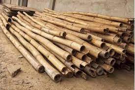 Things To Make With Bamboo Canes Ehow Com Bamboo Diy Bamboo Canes Bamboo Furniture