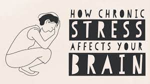How Stress Affects Your Brain Madhumita Murgia Chronic Stress Stress Management Effects Of Stress