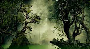 Exuberant Jungle Angel Estevez On Artstation At Https Www Artstation Com Artwork Kawk2x Angel Jungle Artwork